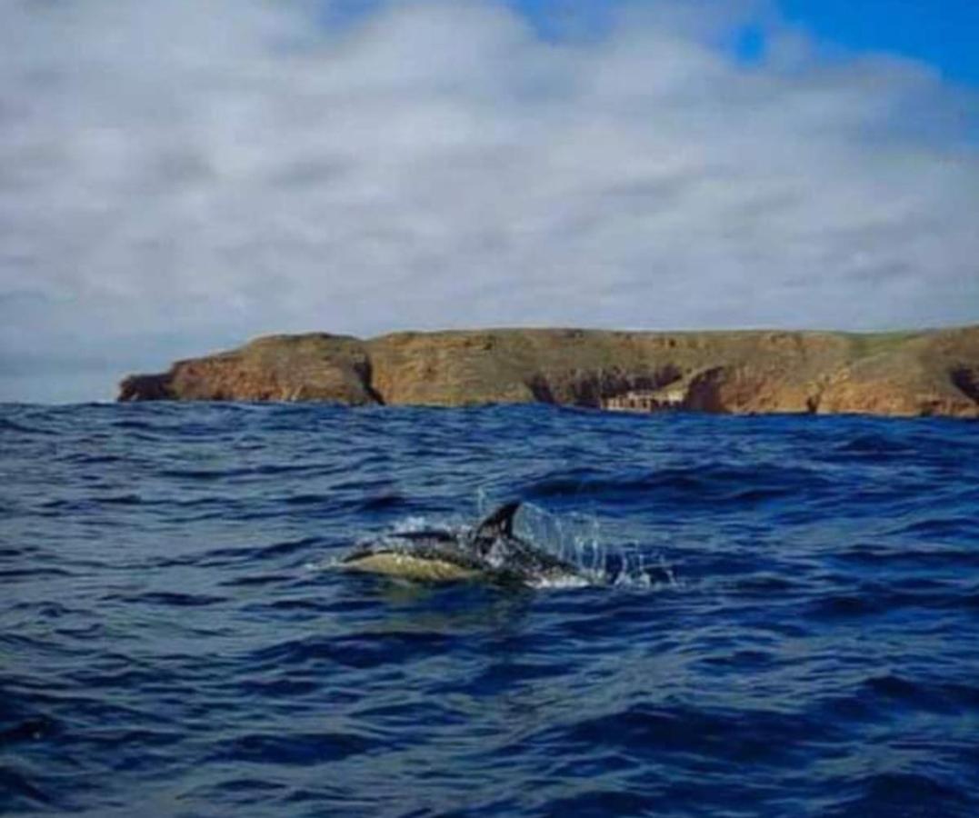 شقة Casa Do Portao Azul - Dourada اتوغويه ده باليه المظهر الخارجي الصورة